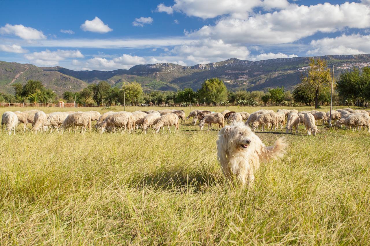 I Mandorli Alojamento de Turismo Rural *